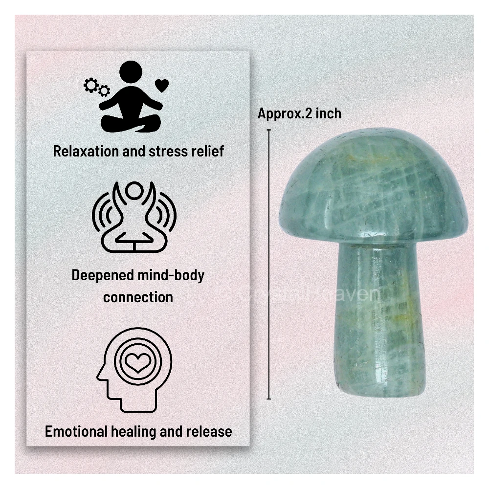 Aquamarine Mushroom - Image 4