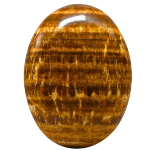 Aragonite Palm Stone