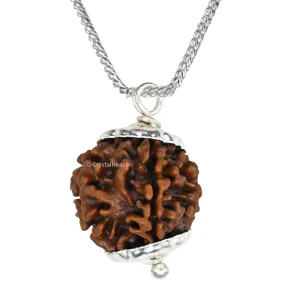 5 Mukhi Rudraksha Pendant (Siver)