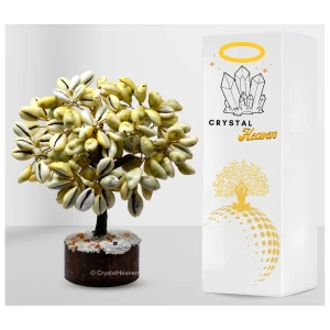 Yellow Kodi Tree