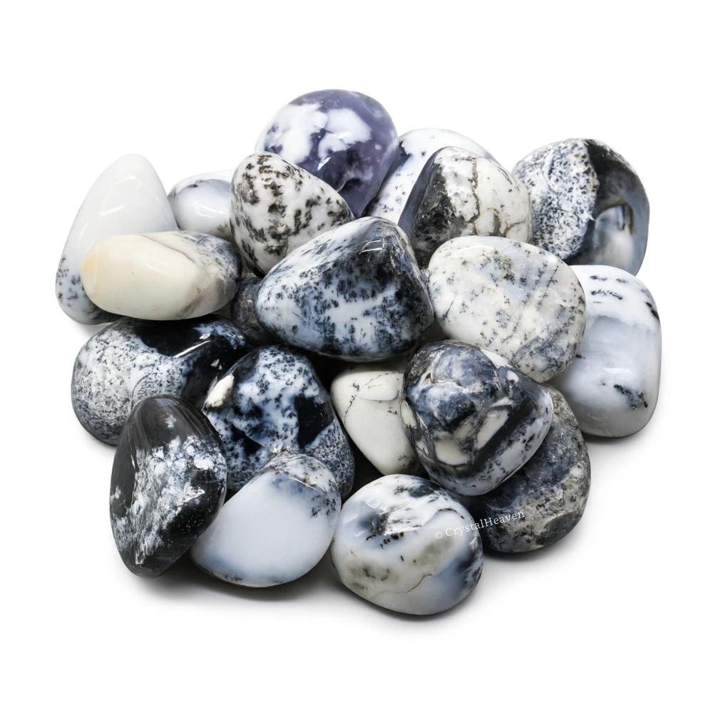 Tumbled Dendrite Opal Stones (30 Gram) - Image 6
