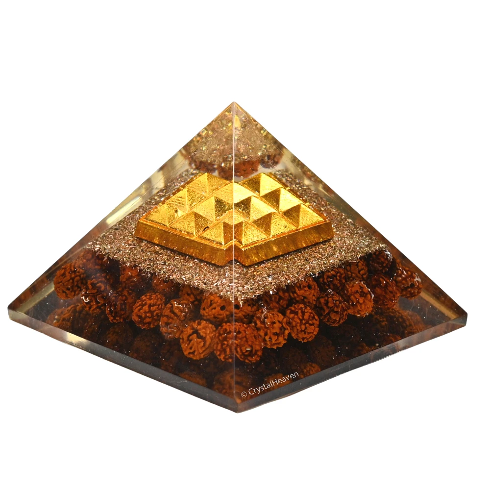 7 Mukhi Rudraksha - Certified - Image 8
