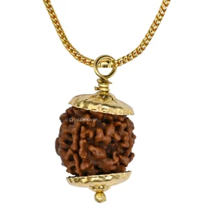4 Mukhi Rudraksha Pendant (Gold)