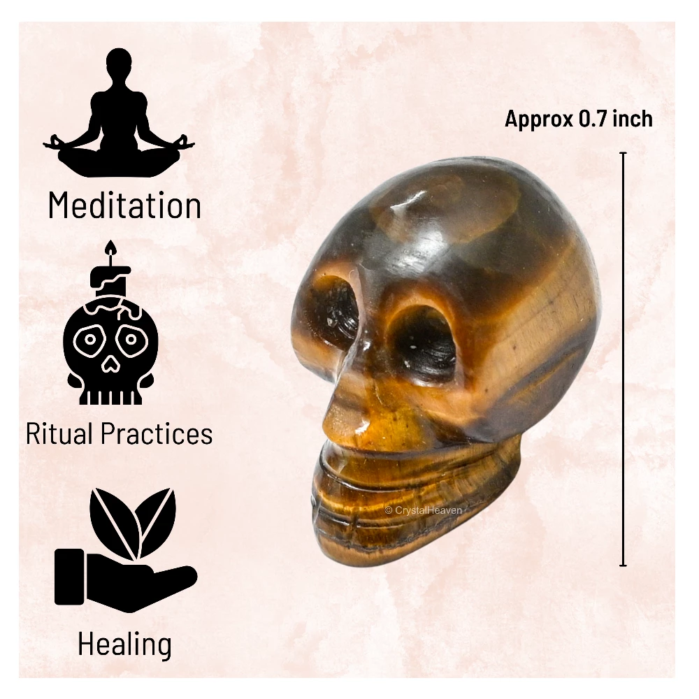 Tiger Eye Skull - Image 4