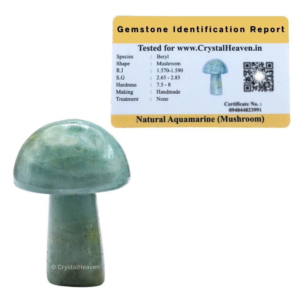 Aquamarine Mushroom - Image 2