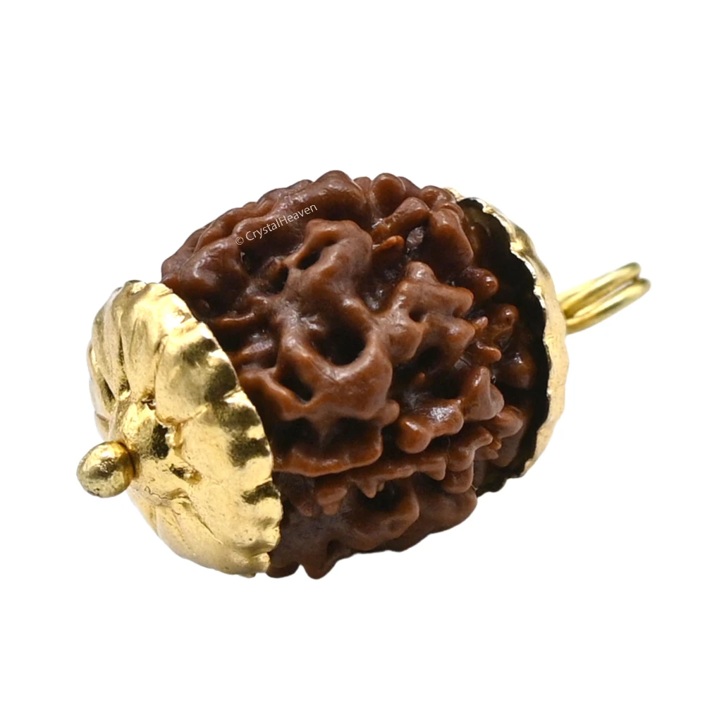 4 Mukhi Rudraksha Pendant (Gold) - Image 3