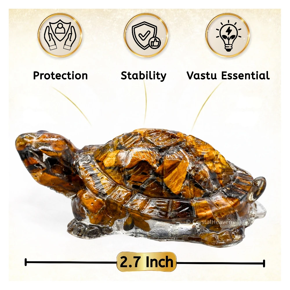 Tiger Eye Tortoise Kachhua - Image 3