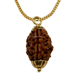 3 Mukhi Rudraksha Pendant (Gold)