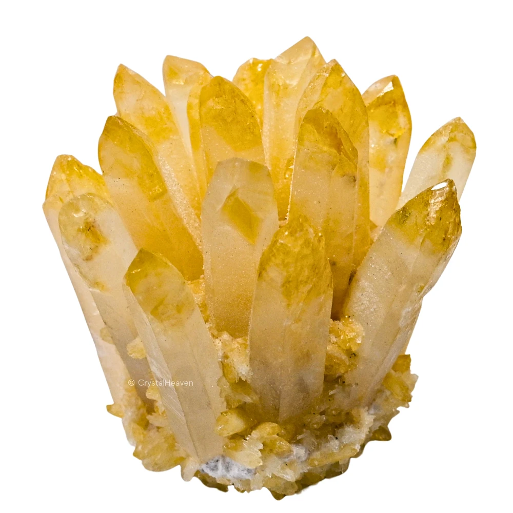 Amethyst Geode (13.99 KG) - Image 10