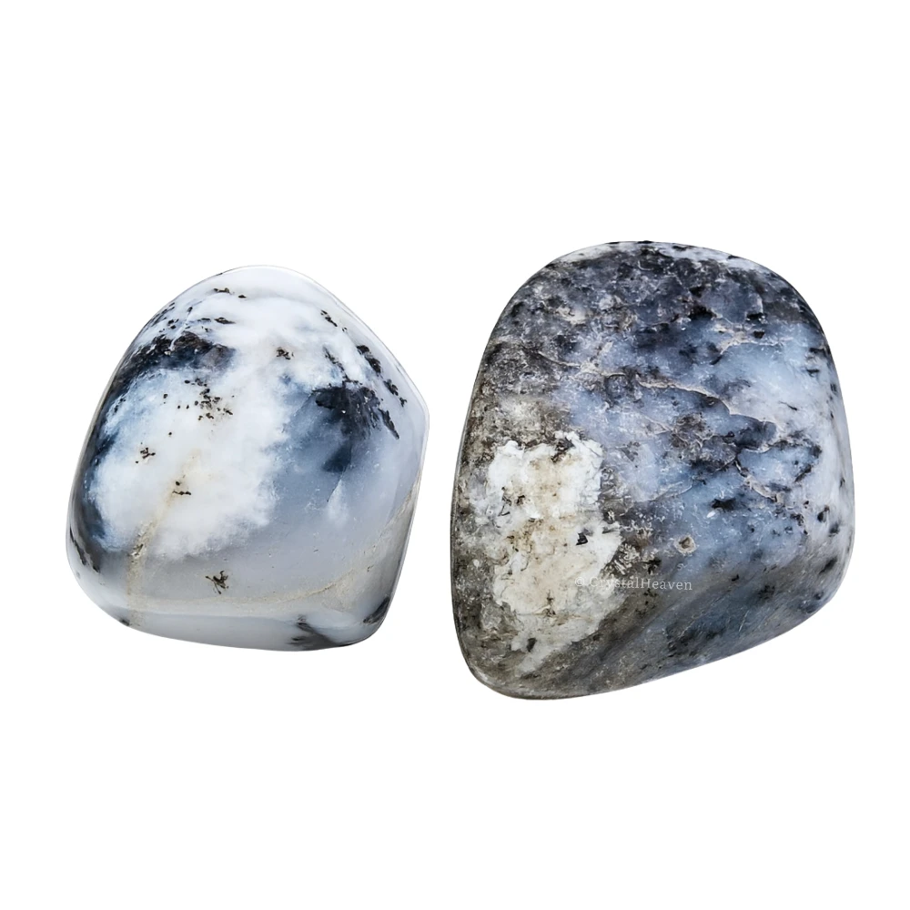 Tumbled Dendrite Opal Stones (30 Gram) - Image 2