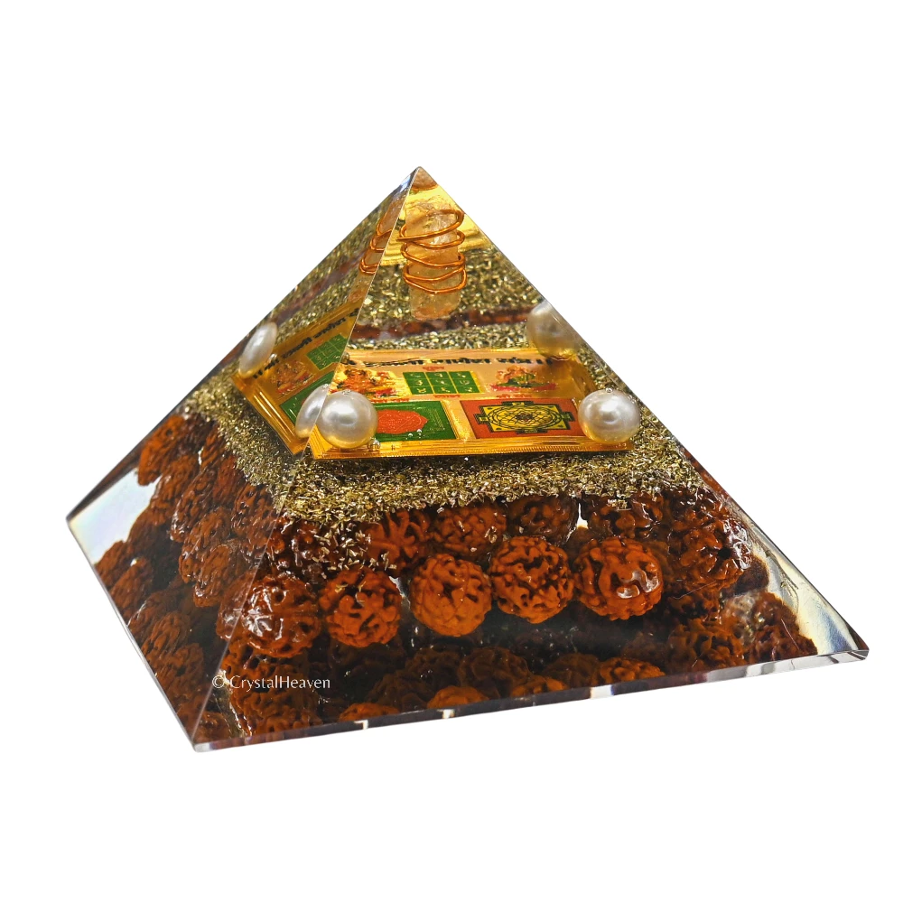 1 Mukhi Rudraksha - Certified - Image 8