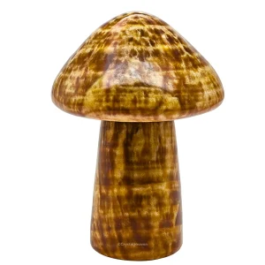 Aragonite Mushroom